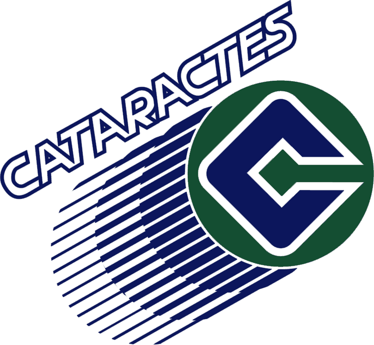 shawinigan cataractes 1990-1998 primary logo iron on transfers for clothing